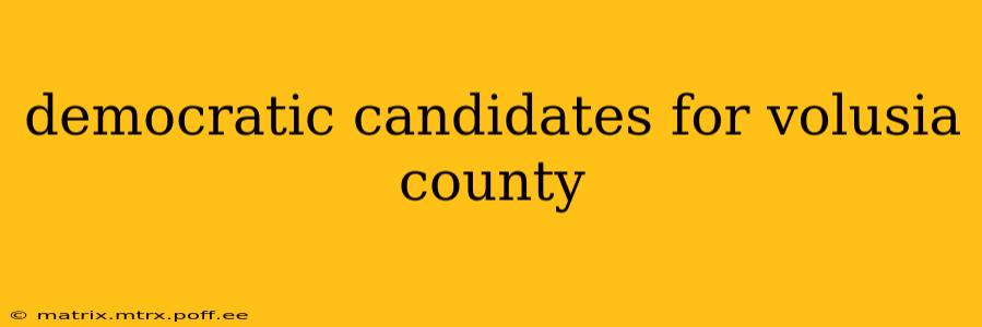 democratic candidates for volusia county