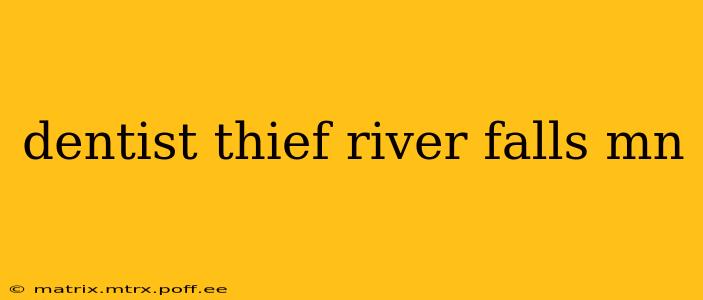 dentist thief river falls mn