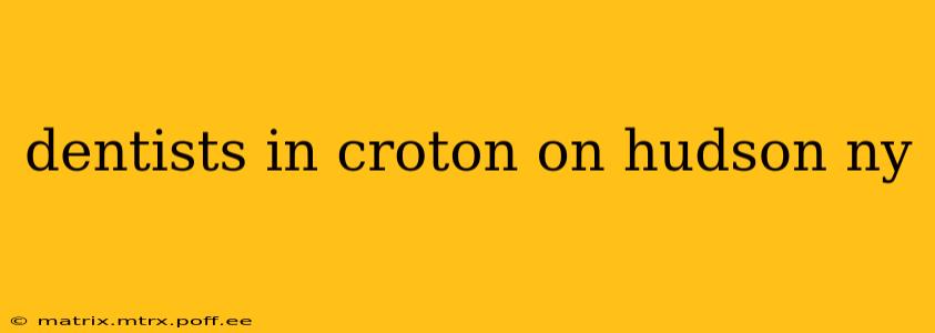dentists in croton on hudson ny