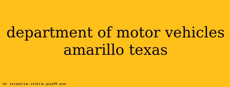 department of motor vehicles amarillo texas