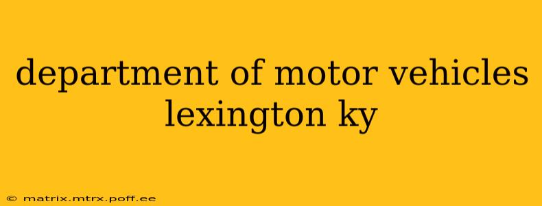 department of motor vehicles lexington ky