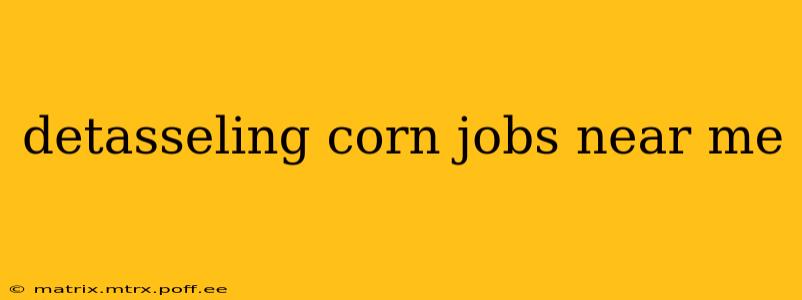 detasseling corn jobs near me