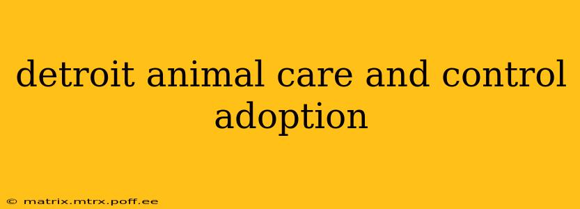 detroit animal care and control adoption