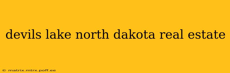 devils lake north dakota real estate