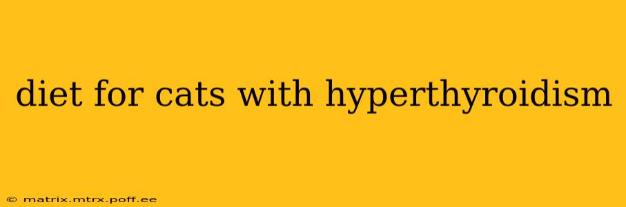diet for cats with hyperthyroidism