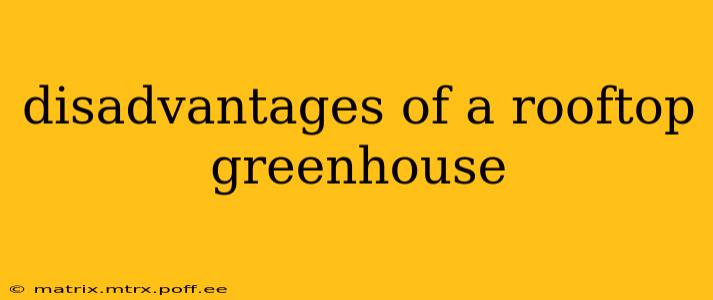 disadvantages of a rooftop greenhouse