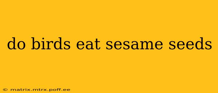 do birds eat sesame seeds