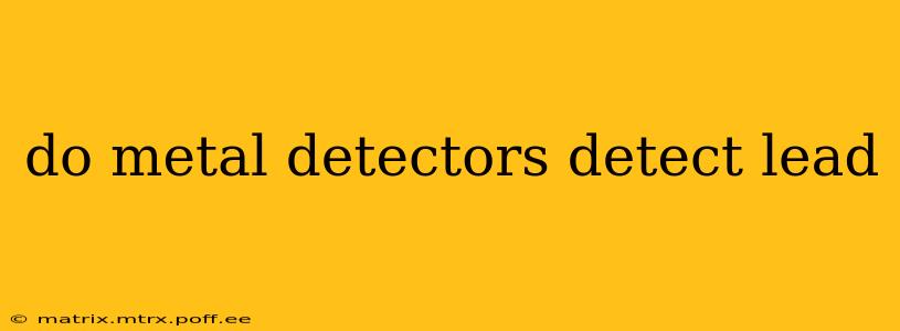 do metal detectors detect lead