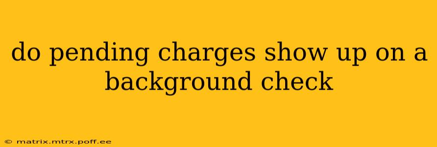 do pending charges show up on a background check