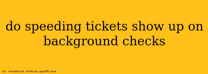 do speeding tickets show up on background checks