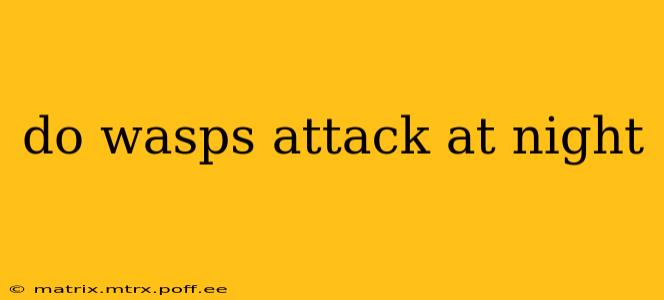 do wasps attack at night