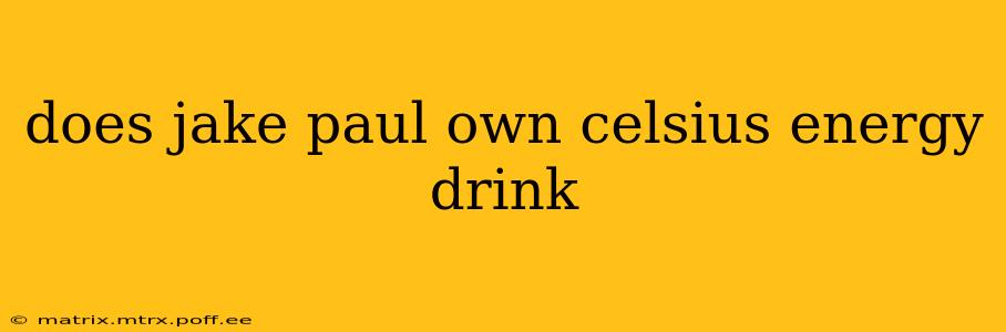 does jake paul own celsius energy drink
