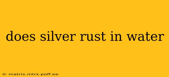 does silver rust in water