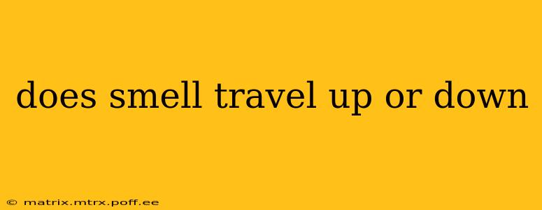 does smell travel up or down