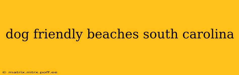 dog friendly beaches south carolina