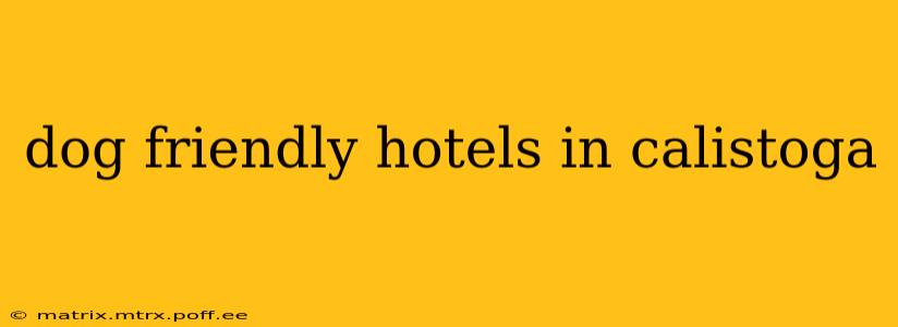 dog friendly hotels in calistoga