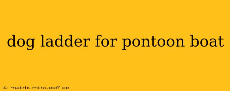 dog ladder for pontoon boat