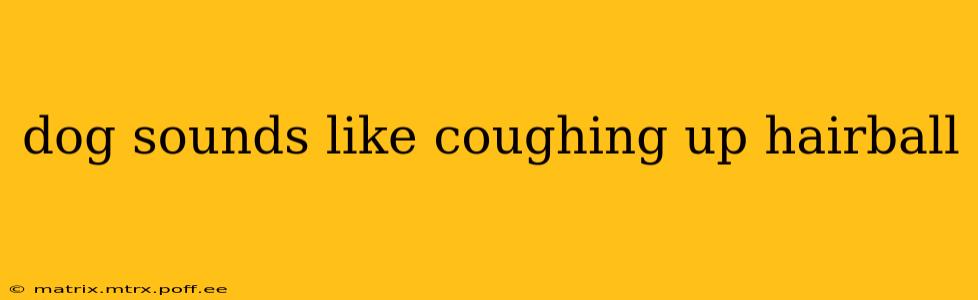 dog sounds like coughing up hairball