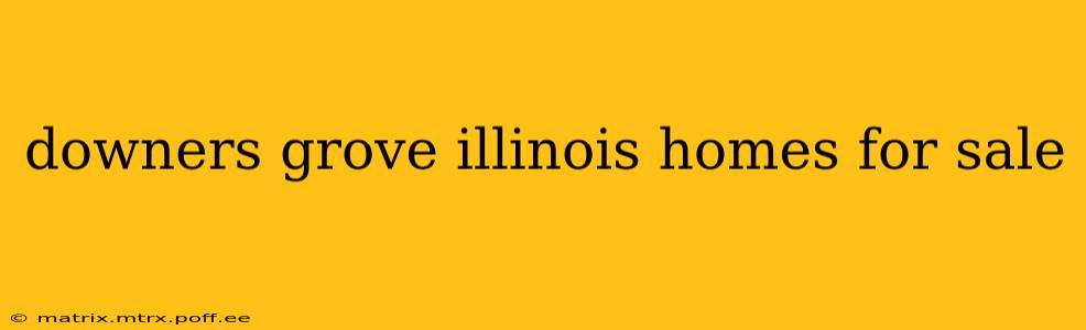downers grove illinois homes for sale