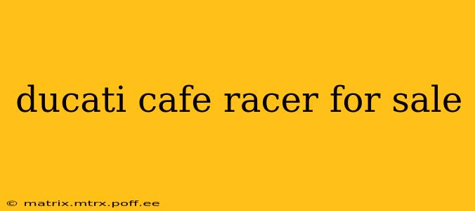 ducati cafe racer for sale