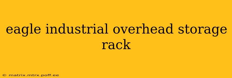 eagle industrial overhead storage rack