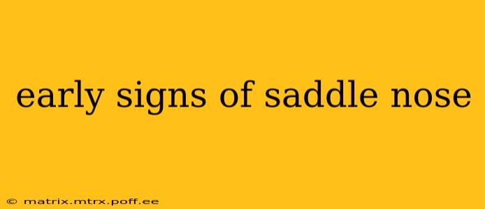 early signs of saddle nose