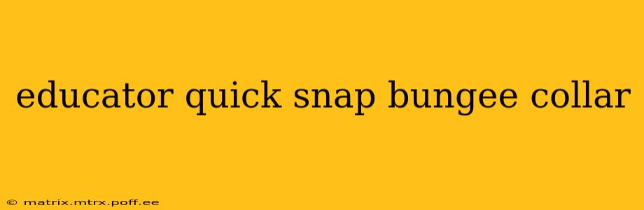 educator quick snap bungee collar