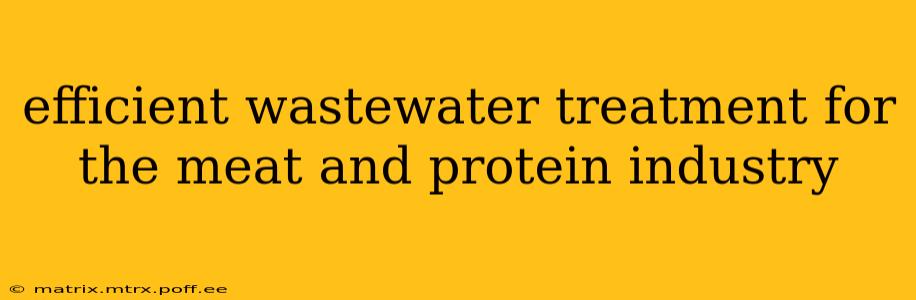 efficient wastewater treatment for the meat and protein industry