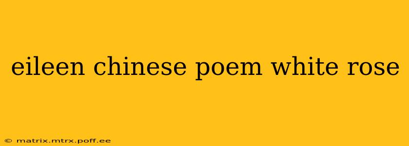 eileen chinese poem white rose