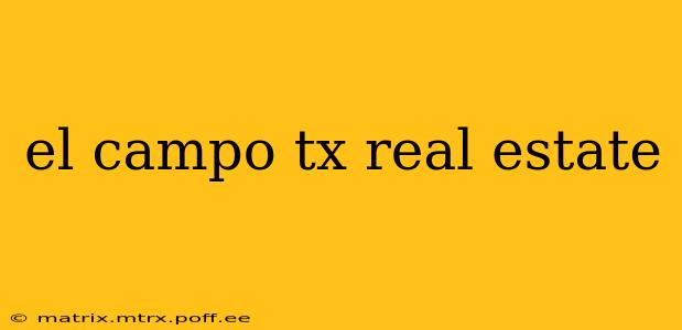 el campo tx real estate