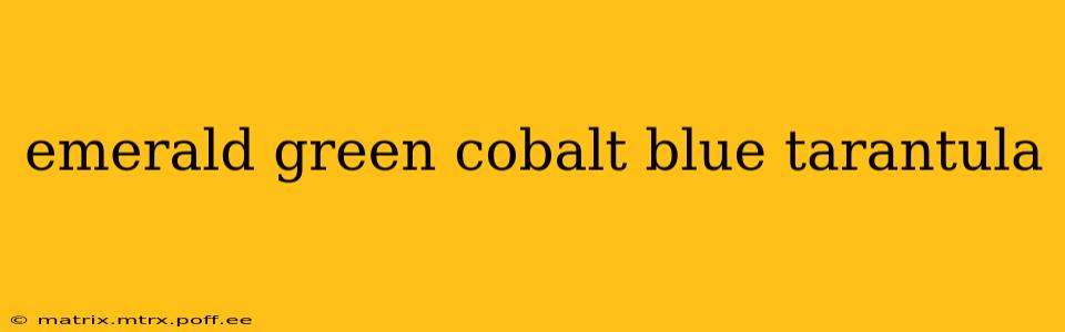 emerald green cobalt blue tarantula