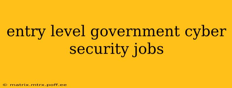 entry level government cyber security jobs