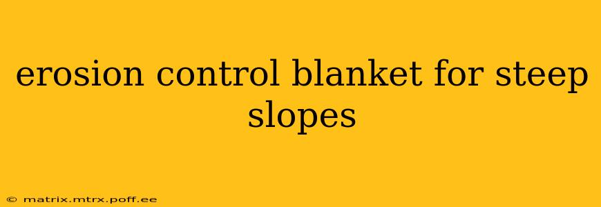 erosion control blanket for steep slopes