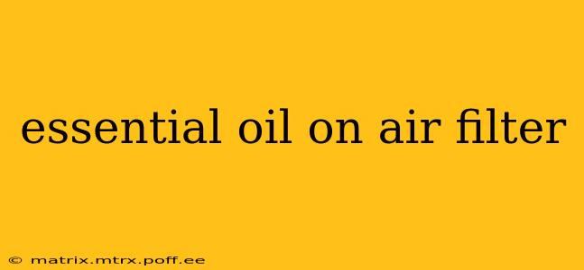 essential oil on air filter