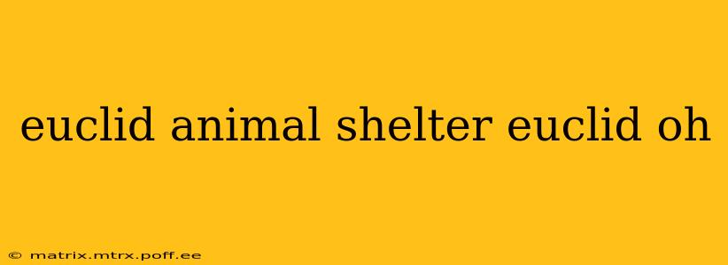 euclid animal shelter euclid oh