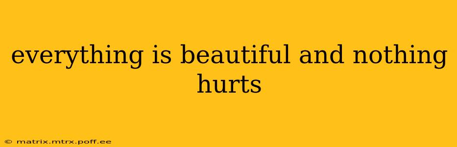 everything is beautiful and nothing hurts