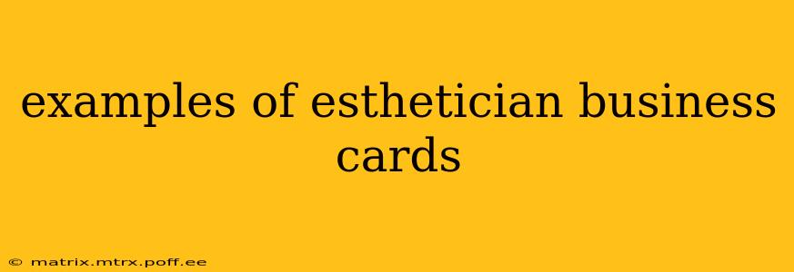 examples of esthetician business cards