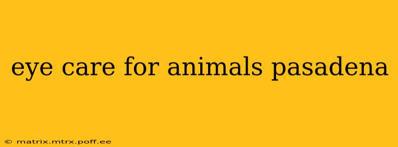 eye care for animals pasadena