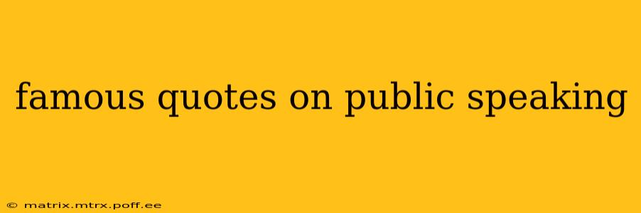 famous quotes on public speaking