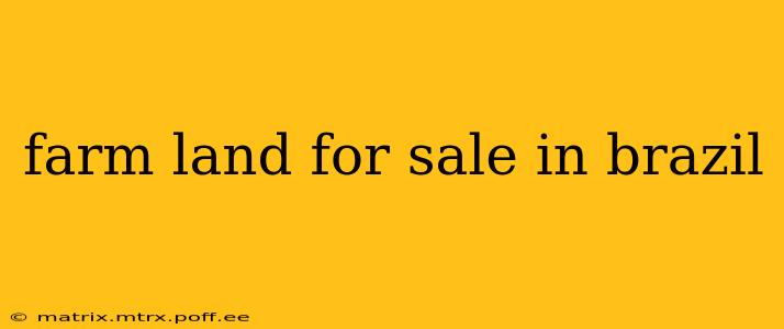 farm land for sale in brazil