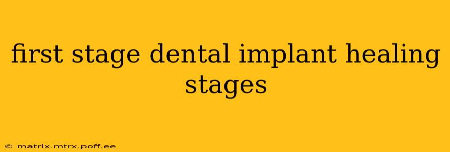 first stage dental implant healing stages