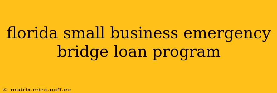 florida small business emergency bridge loan program