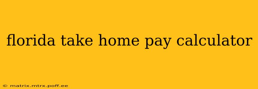 florida take home pay calculator