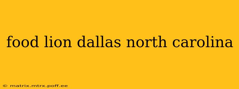 food lion dallas north carolina