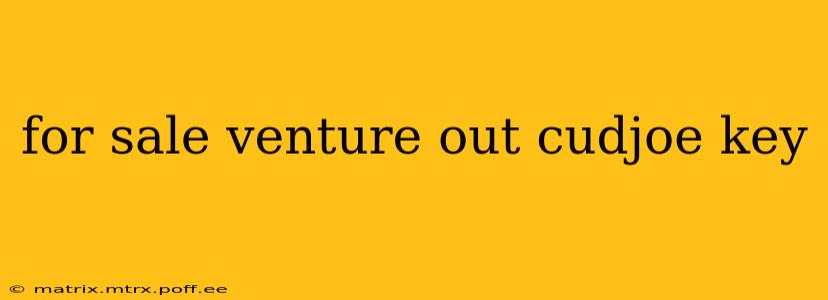 for sale venture out cudjoe key