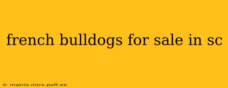 french bulldogs for sale in sc