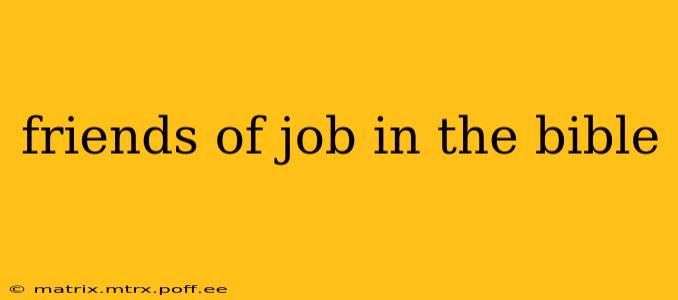 friends of job in the bible