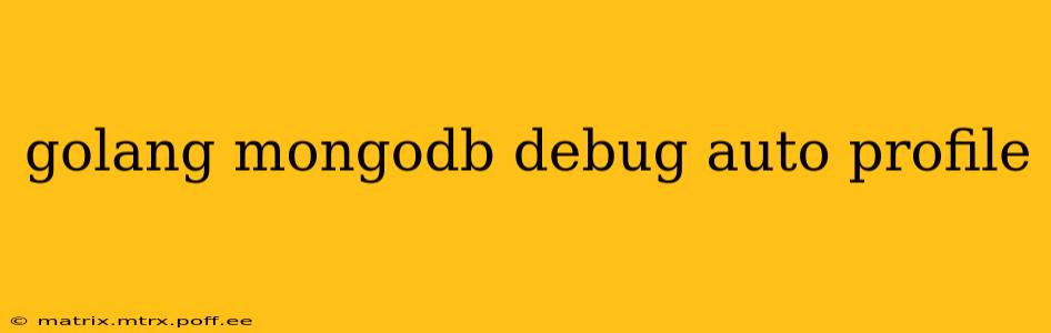 golang mongodb debug auto profile