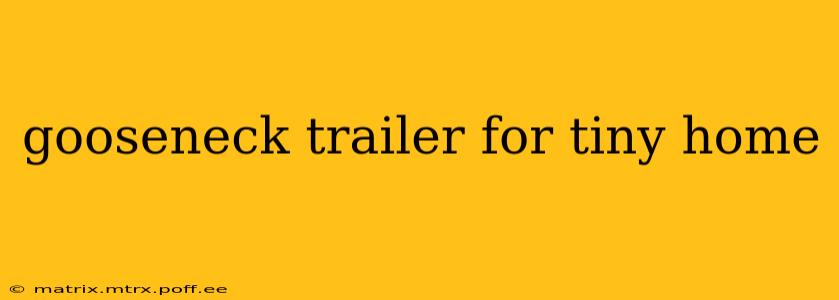 gooseneck trailer for tiny home