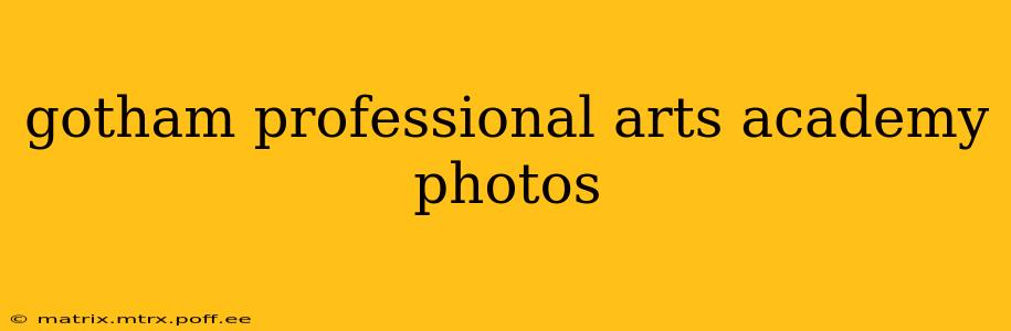 gotham professional arts academy photos